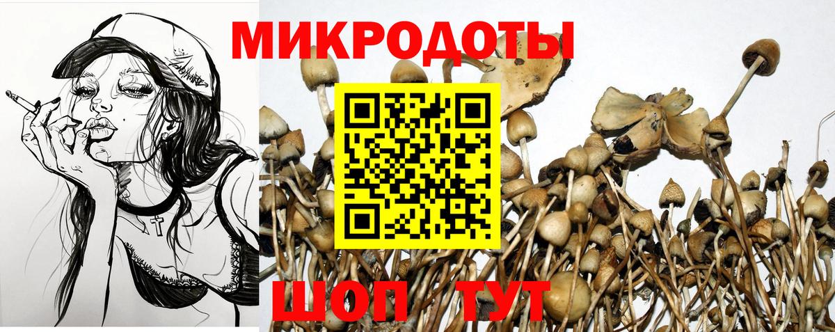 Галлюциногенные грибы мицелий Дедовск