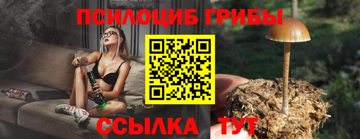 Псилоцибиновые грибы мицелий  Галлюциногенные грибы Cubensis  Вход с VPN  Дедовск 